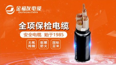 金福友電纜丨榜樣的力量，月度優(yōu)秀進步標兵與團隊表彰！