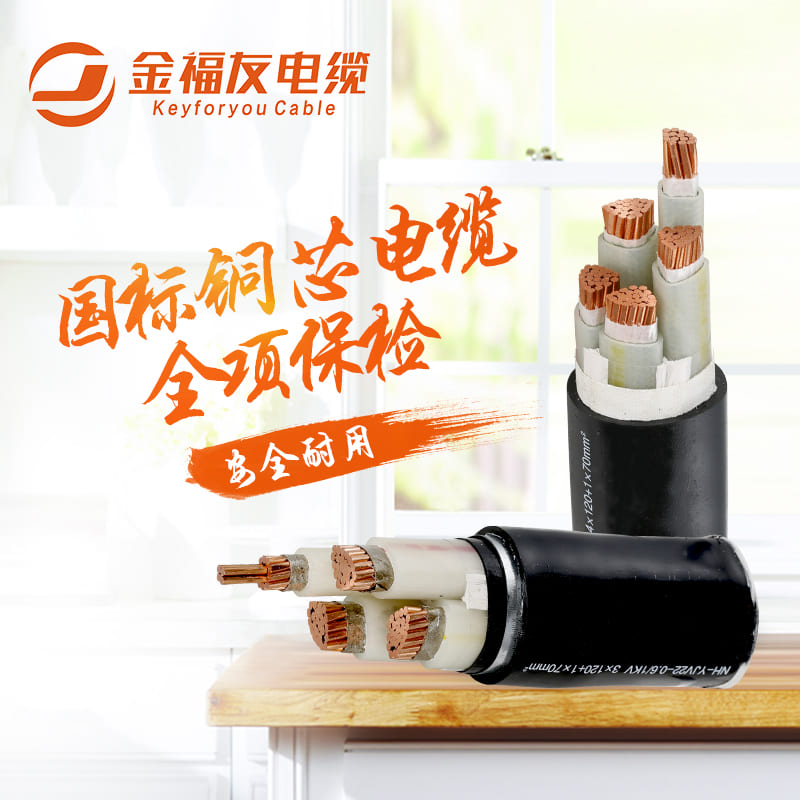 金福友國標銅芯電纜，全項保檢