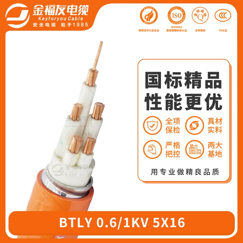 金福友產品-6.19-BTLY-0.6-1kV-5X16