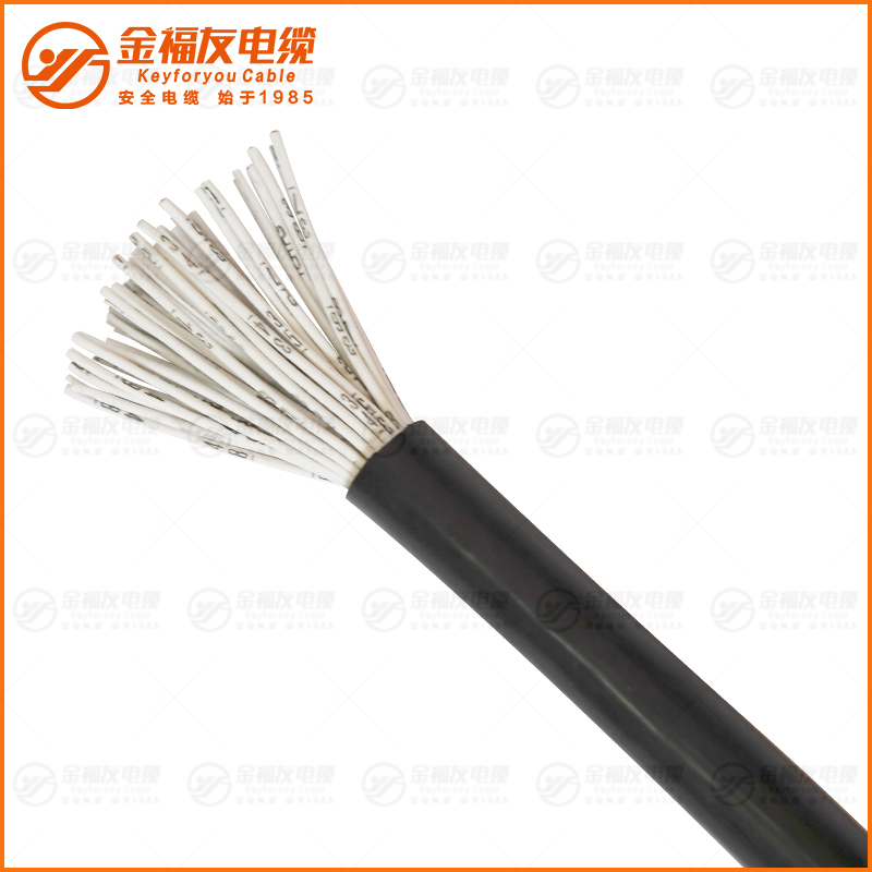 RVV護套軟線50芯 RVV護套軟線50芯